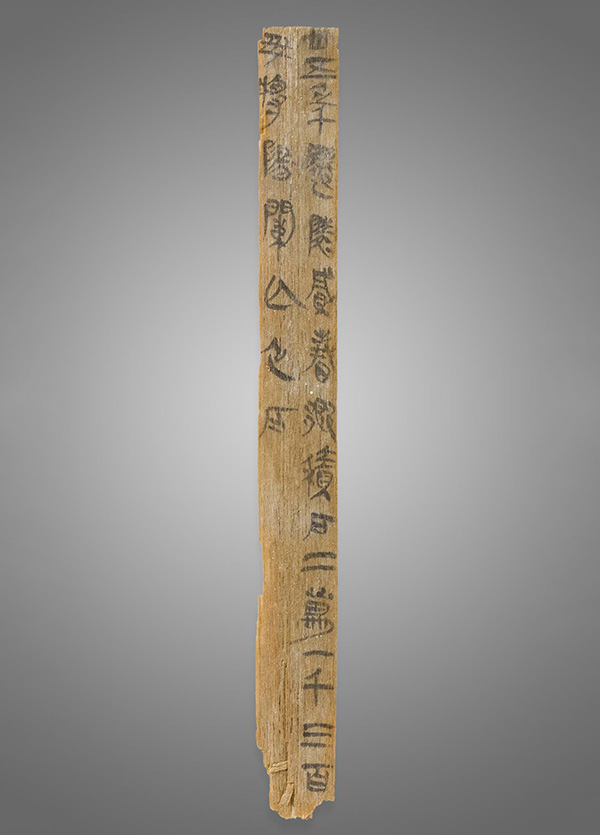 千年竹简再现湖湘史记“从里耶到长沙”特展在长沙博物馆呈现