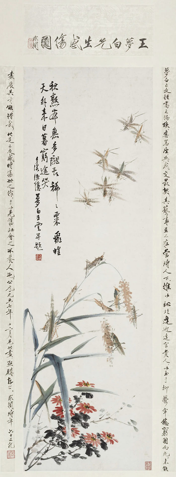  灵羽衔春：北京画院藏王雪涛作品展在苏州博物馆开展