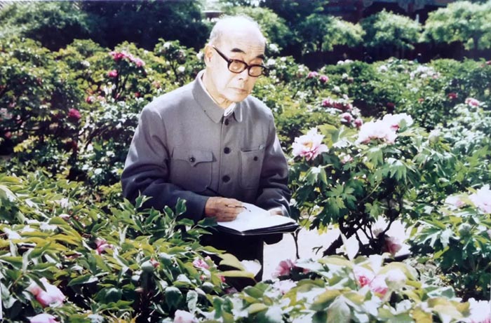  灵羽衔春：北京画院藏王雪涛作品展在苏州博物馆开展