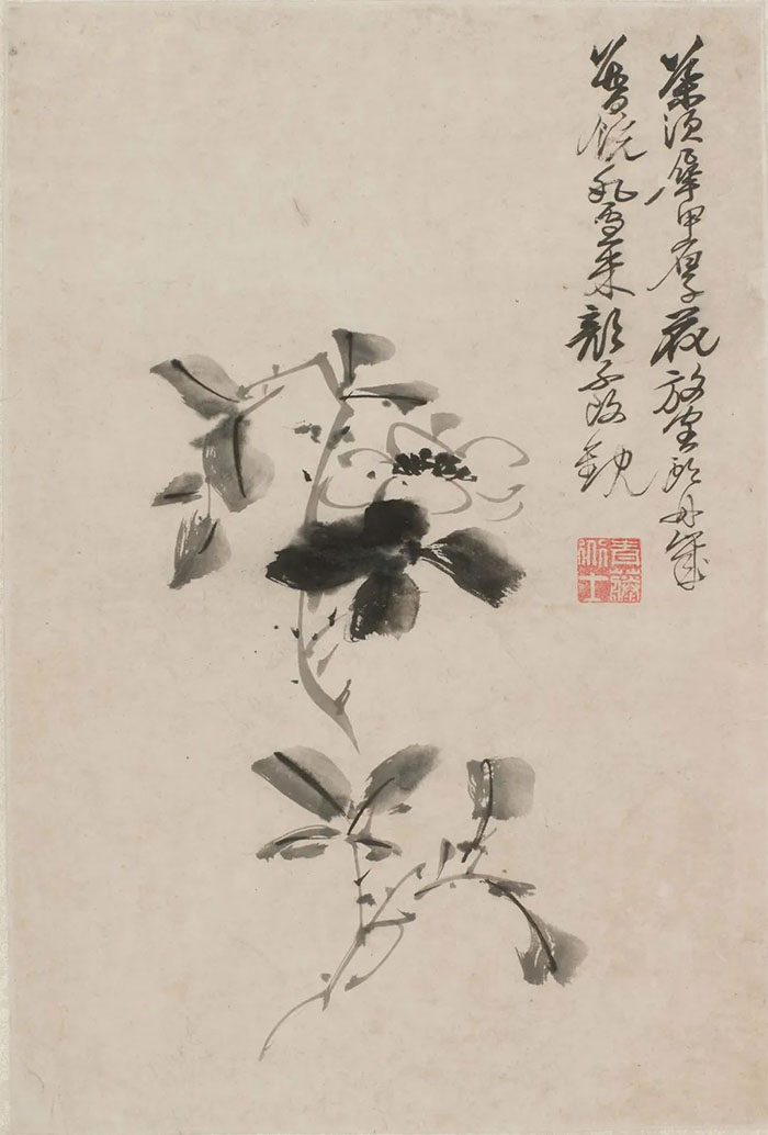  象心以澂源：纪念周培源先生诞辰120周年特展在无锡博物院开幕