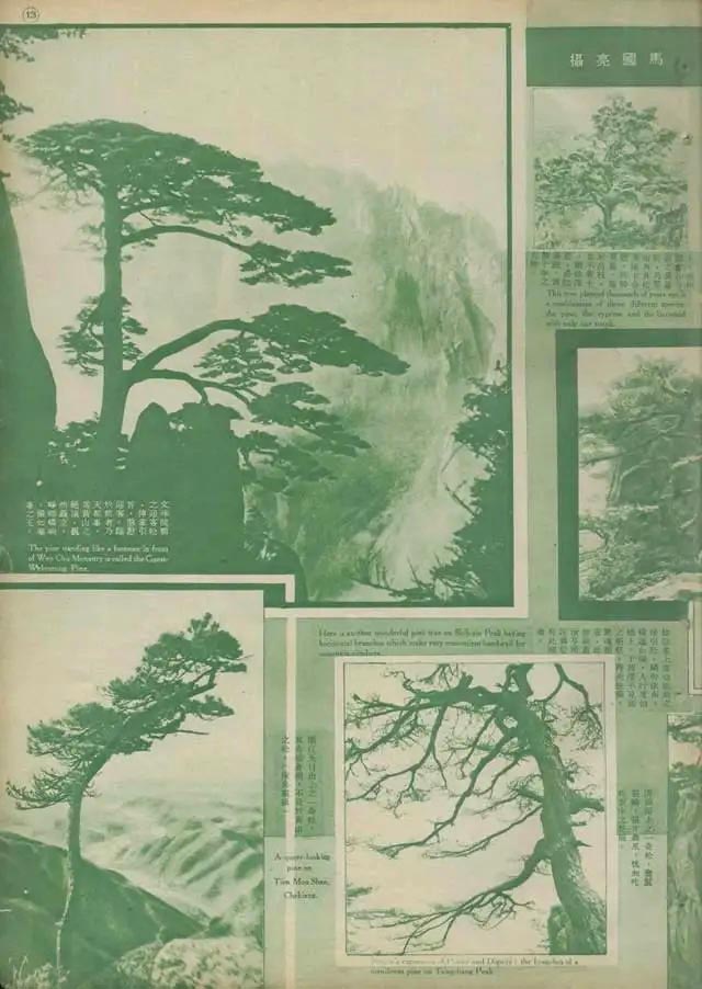 "海派"画家黄山图与写生观念—兼论石涛在近代画坛的影响