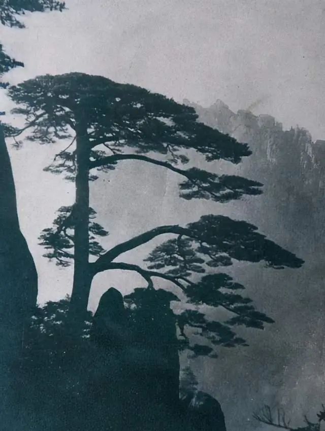 "海派"画家黄山图与写生观念—兼论石涛在近代画坛的影响