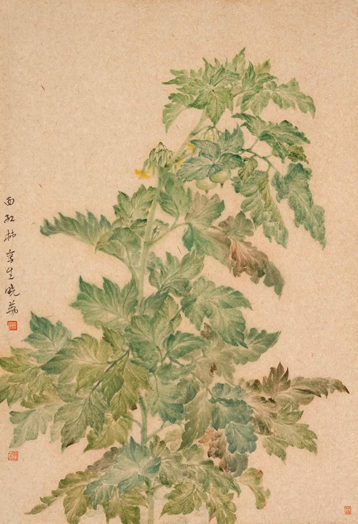 灼灼其华：《中国美术报》女艺术家学术邀请展今日下午亮相