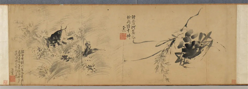  河上花：中国花鸟画之道特展揭幕 13米八大山人《河上花》全卷呈现