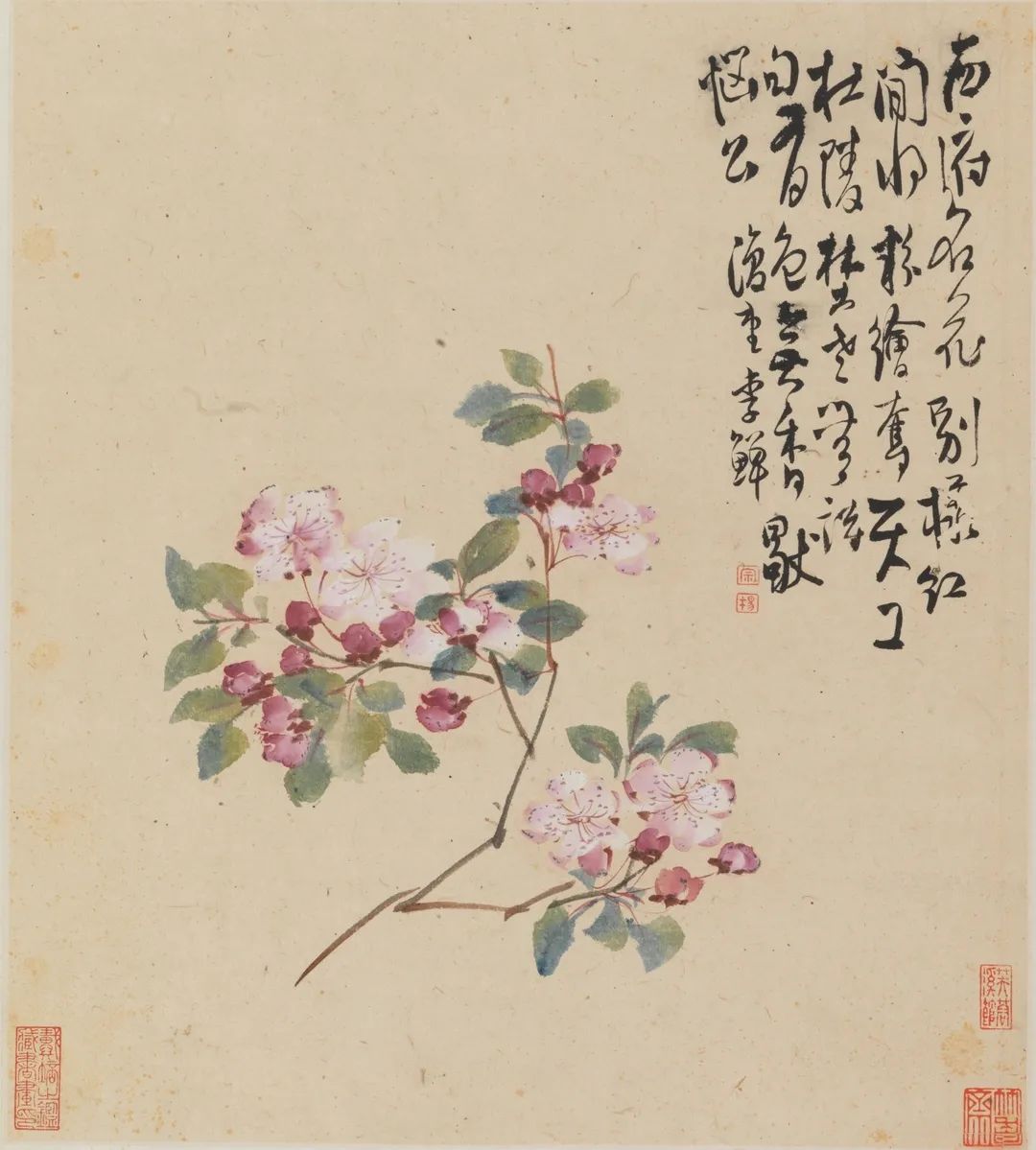  河上花：中国花鸟画之道特展揭幕 13米八大山人《河上花》全卷呈现