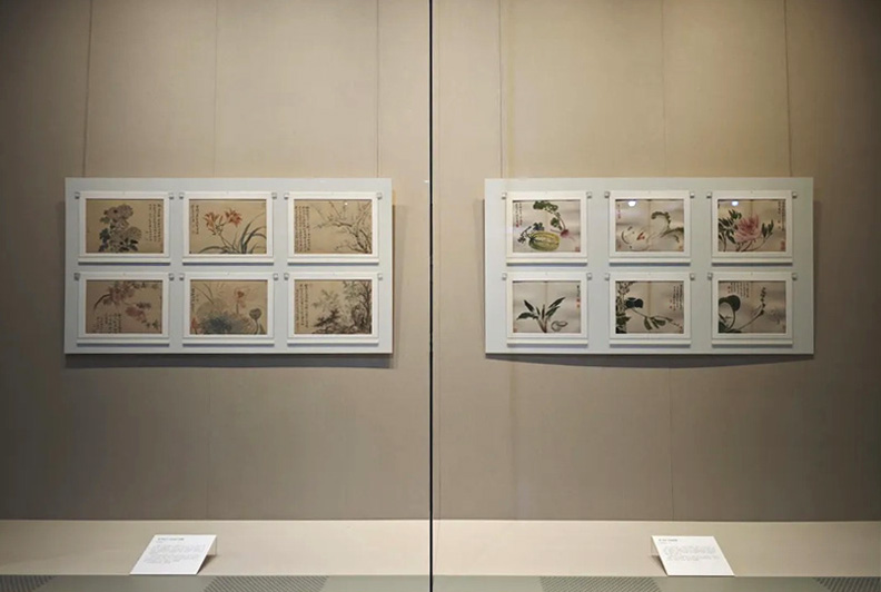  河上花：中国花鸟画之道特展揭幕 13米八大山人《河上花》全卷呈现